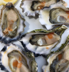 Oysters - 1 dozen